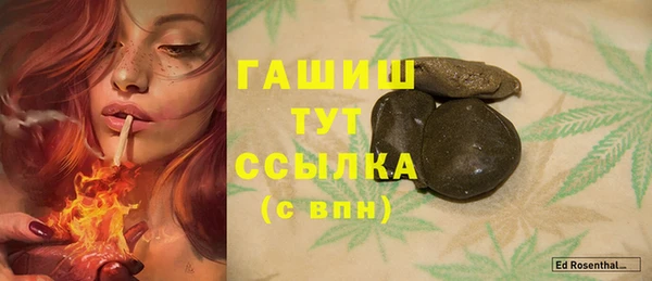 таблы Бородино