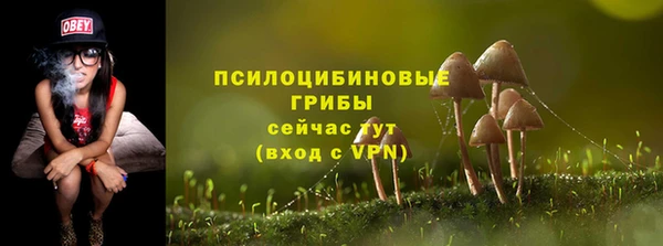 альфа пвп Богданович