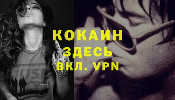 сатива Балахна
