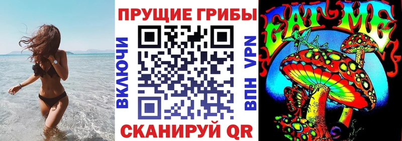 Псилоцибиновые грибы Psilocybe закладки Кизляр